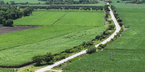 Con 220 MDP, inicia Ricardo Gallardo rescate de la carretera Valles-El Naranjo