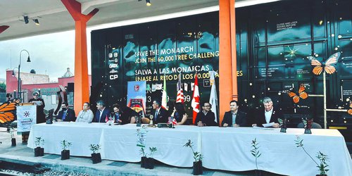 Villa de Reyes tendrá el primer santuario de Mariposa Monarca en el estado