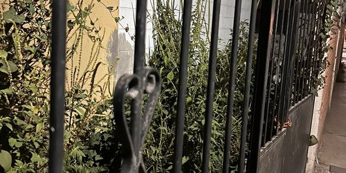 Casas abandonadas en CDFDZ sirven de escondite para maleantes, piden vigilancia