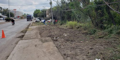 Despejan de maleza paso peatonal del bulevar Universitario