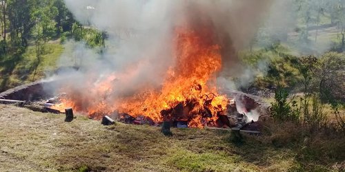 Más de 99 toneladas de marihuana fueron incineradas en 2022