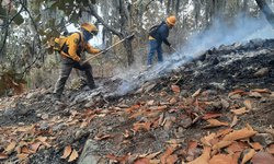 Finiquitan el incendio del Pescadito: 55 hectáreas afectadas