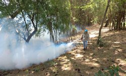 Gobierno estatal intensifica acciones preventivas contra el dengue
