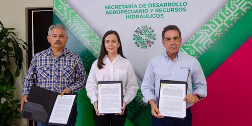 Estado y Federación rehabilitan riego agrícola para 34 mil hectáreas
