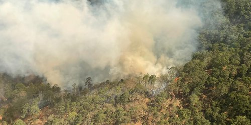 Autoridades de los tres niveles de Gobierno combaten incendio forestal en Santa María del Río