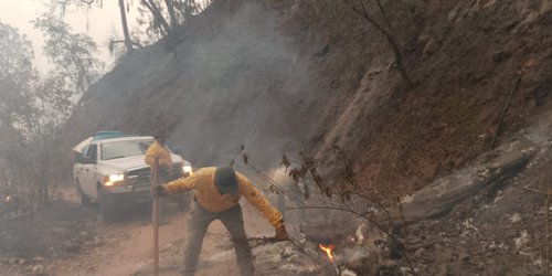 Continuan trabajos de combate a incendio forestal en Santa María del Río