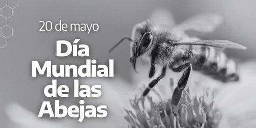 Llama PC a cuidar a las abejas