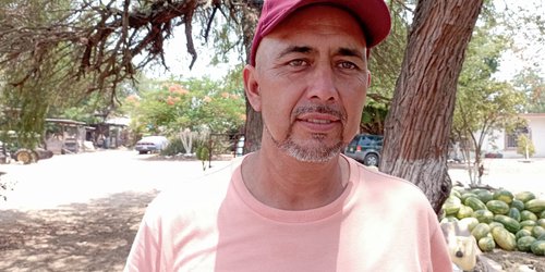 Golpes de calor también afectan a cultivos