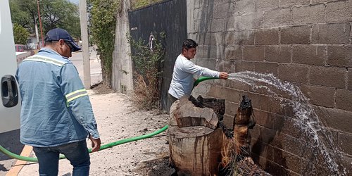 Protección Civil atiende quema de troncos en Pedregal de San Marcos