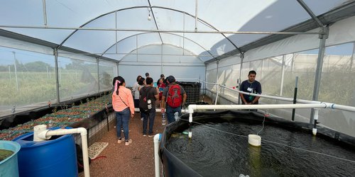 San Luis Potosí apoya la acuaponía para producir alimentos de calidad