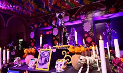 Ejecutivo Estatal instala monumental altar de muertos en honor a las mascotas