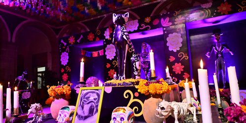 Ejecutivo Estatal instala monumental altar de muertos en honor a las mascotas