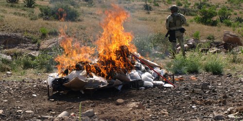 Incineran FGR y Sedena más de 31 kilos de narcóticos decomisados en SLP