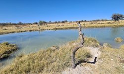 Gobierno Estatal fomenta el cuidado del medio ambiente