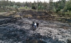 Controlado el incendio en parque Tangamanga I