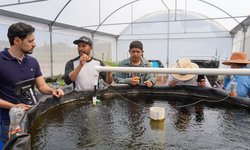 Capacitan a municipios de la huasteca acerca de la técnica de cultivo de Acuaponía