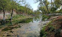Convocan a limpiar de lama el Río Verde