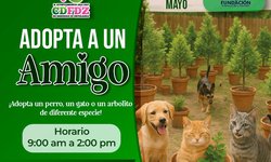 Campaña “Adopta a un amigo” busca dar hogar a perros y gatos y promover la reforestación