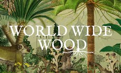 El Jardín Escultórico Edward James se une al lanzamiento de World Wide Wood, la enciclopedia de Google