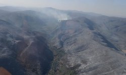 Comité del manejo del fuego trabaja en incendios forestales