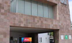 Se proyecta módulo itinerante del Gobierno de la Capital para denuncias por maltrato animal