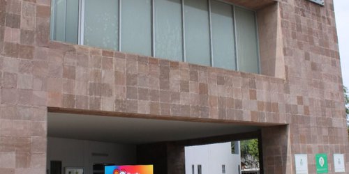 Se proyecta módulo itinerante del Gobierno de la Capital para denuncias por maltrato animal