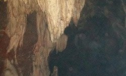 Exploran nueva gruta en Alamitos para ampliar oferta turística en Rioverde
