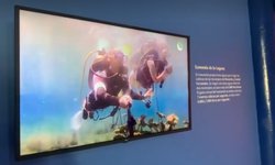 Buscan reactivar la Sala Media Luna del museo El Colibrí