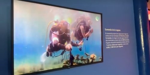Buscan reactivar la Sala Media Luna del museo El Colibrí
