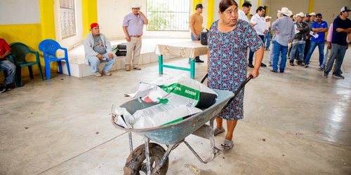 Ciudad Fernández impulsa el desarrollo agrícola y ganadero con apoyos y lluvias favorables