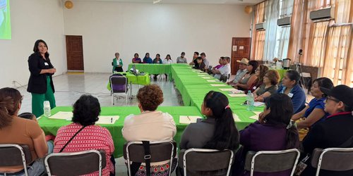 “Transformando de Corazón a Corazón”: taller intensivo en apoyo a cuidadores emocionales