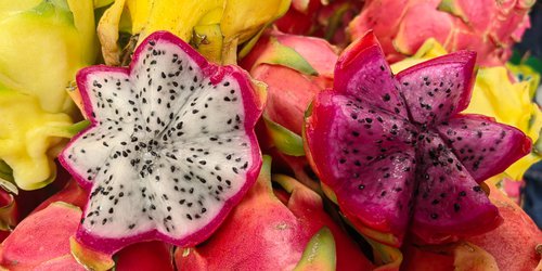 Comerciantes promueven la pitahaya veracruzana: fruta exótica con beneficios saludables