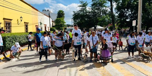 K-mina con Causa 2025 reunió a familias y mascotas por el bienestar animal en CDFDZ