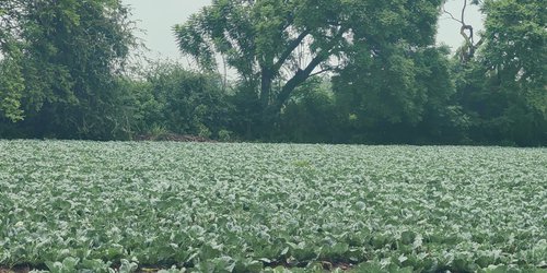 Rioverde debe avanzar hacia un modelo agrícola sustentable: Héctor Reynoso
