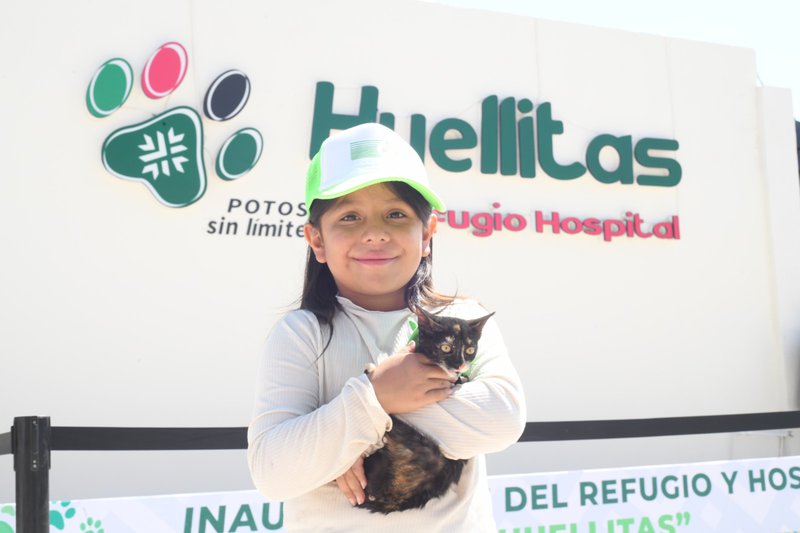 WhatsApp Image 2025-08-15 at 1.50.32 PM.jpeg