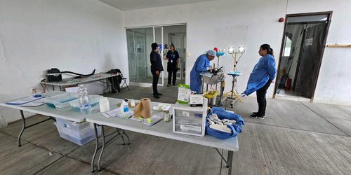 Villa de Pozos trabaja por el bienestar de animales