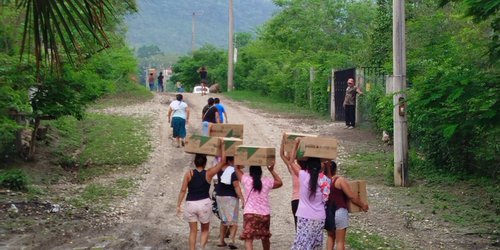 Más de 550 mil hogares potosinos reciben programa seguridad alimentaria