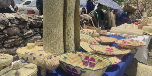 Cinco municipios de la Zona Media llevaran su arte y tradición al Séptimo Festival de Día de Muertos en Guanajuato