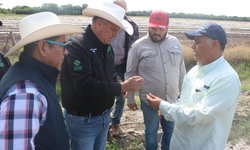 Realizan talleres de prevención de la violencia en el CBTA 187, en San Ciro de Acosta