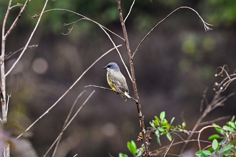 WhatsApp Image 2026-01-02 at 2.40.40 PM.jpeg