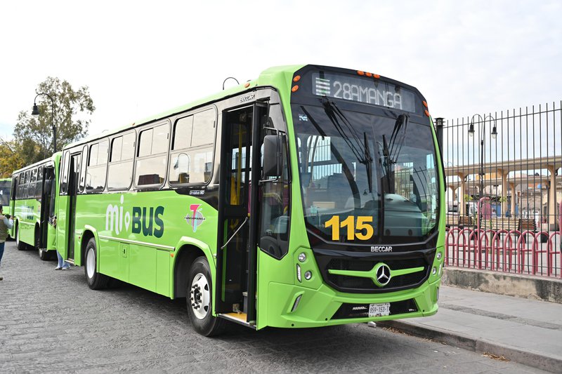 WhatsApp Image 2026-01-12 at 12.59.49 PM.jpeg