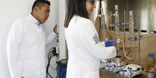 Investigadores de IPICYT descubren compuesto que podría controlar la diabetes