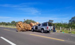 Familia de Tampico lesionada tras nuevo choque en la supercarretera a Cerritos