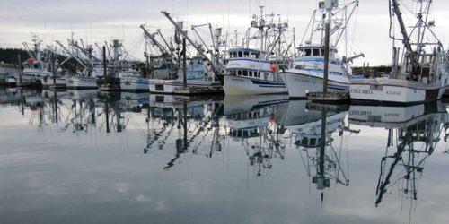 Alerta de tsunami en Alaska tras sismo de magnitud 7.4