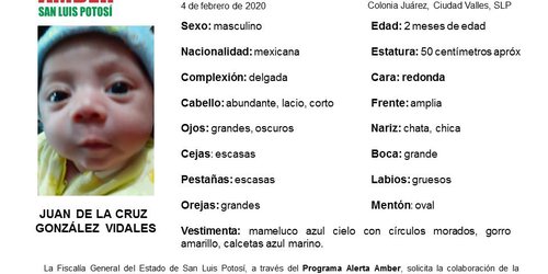 Activan Alerta Ámber para localizar a bebé robado en Ciudad Valles