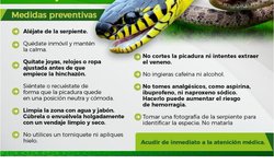 En temporada de calor prevenga mordeduras, picaduras o contacto con animales ponzoñosos