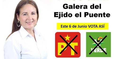 Candidata del PT y PVEM Amparo Charles, abre campaña este domingo en Santa Catarina