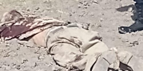 Burro mató a anciano, a mordidas y patadas