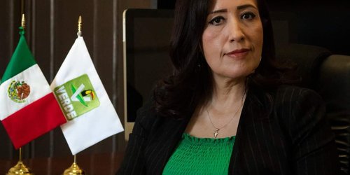 El Comité del PVEM tiene todo listo para recibir mañana a su dirigente estatal.