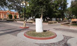 Retiran árboles peligrosos en plazas y jardines de CDFDZ